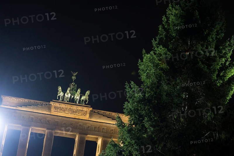 THW volunteers set up the Christmas tree delivered from Thuringia in front of the Brandenburg Gate, Berlin, 24.11.2025