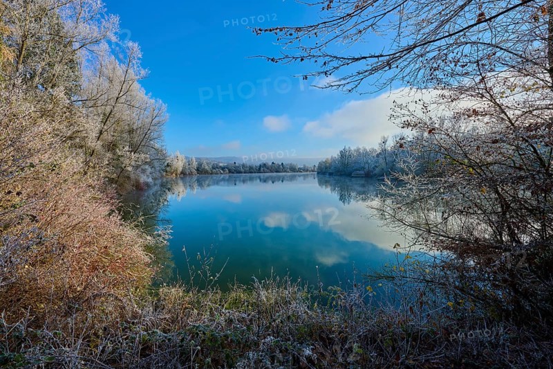 A lake in winter with bare trees and a clear reflection in the water, hoarfrost, winter, Mondsee, Mondfeld, Wertheim, Main-Tauber-Kreis, Baden-Württemberg, Germany