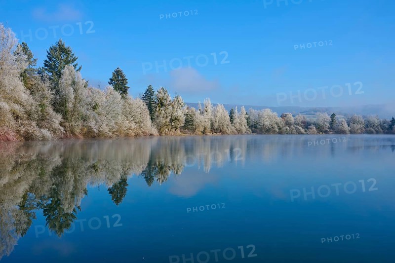 Lake with winter trees whose reflections appear on the calm water surface, hoarfrost, winter, Mondsee, Mondfeld, Wertheim, Main-Tauber district, Baden-Württemberg, Germany