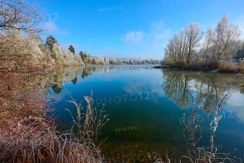 A lake with winter trees and water that wonderfully reflects the clear sky, hoarfrost, winter, Mondsee, Mondfeld, Wertheim, Main-Tauber-Kreis, Baden-Württemberg, Germany