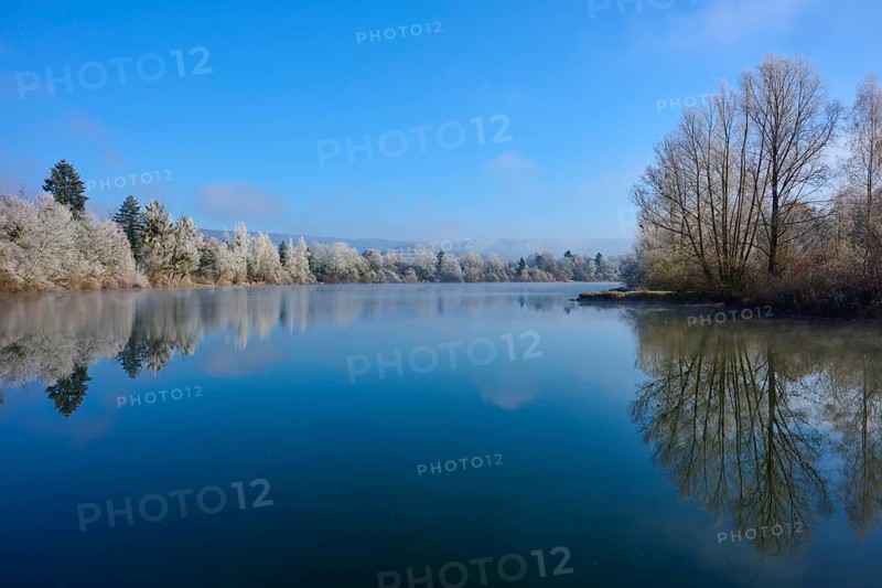 A quiet winter day at a lake with mirror-like water and bare trees, hoarfrost, winter, Mondsee, Mondfeld, Wertheim, Main-Tauber-Kreis, Baden-Württemberg, Germany