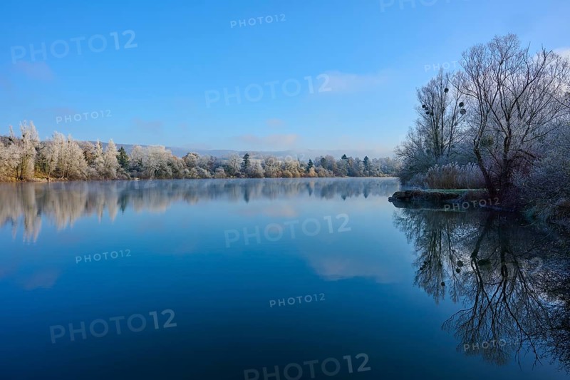 A clear winter day on a lake with reflecting water and bare trees, hoarfrost, winter, Mondsee, Mondfeld, Wertheim, Main-Tauber-Kreis, Baden-Württemberg, Germany