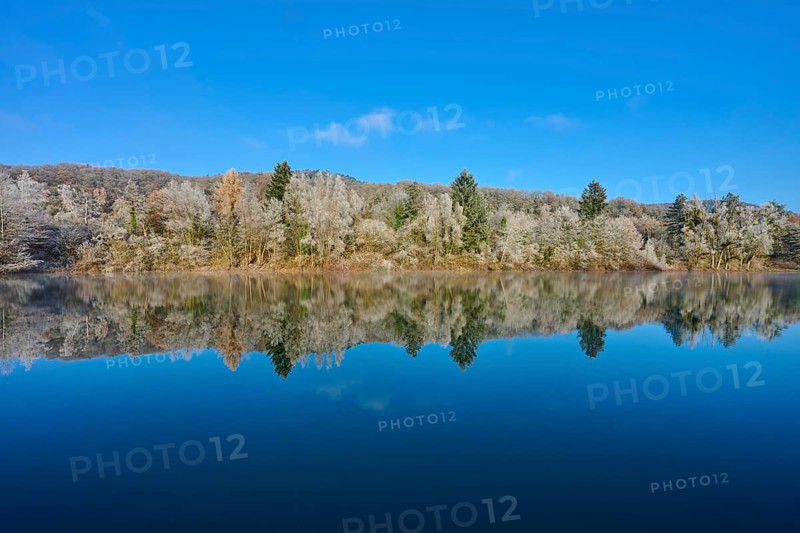 Wintery forest reflected in the clear water of a lake under a blue sky, hoarfrost, winter, Mondsee, Mondfeld, Wertheim, Main-Tauber district, Baden-Württemberg, Germany