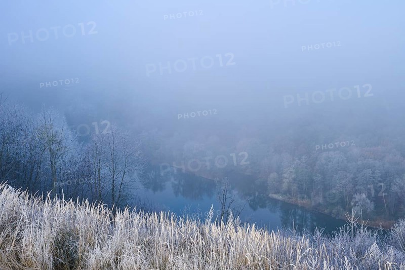 A foggy morning on a river with frost-covered trees and grass, quiet and mystical atmosphere, hoarfrost, winter, Main, Urphar, Wertheim, Main-Tauber district, Baden-Württemberg, Germany