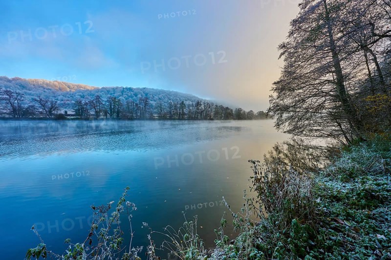 A frosty morning on the river with trees and reflecting water in shades of blue and gold, hoarfrost, winter, Collenberg, Main, Maintal, Spessart, Bavaria, Germany