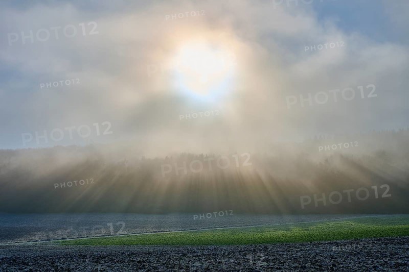 Gentle sunbeams break through the fog of a morning field, hoarfrost, winter, Urphar, Main-Tauber district, Baden-Württemberg, Germany