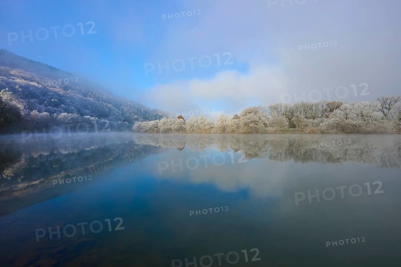 Wintery landscape with fog over a quiet river, tree-lined, hoarfrost, winter, Boxtal, Main-Tauber-Kreis, Baden-Württemberg, and Stadtprozelten, Dorfprozelten, Main, Spessart, Bavaria, Germany