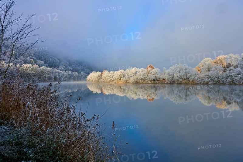 Snowy trees and clear water reflection show a peaceful river landscape, hoarfrost, winter, Boxtal, Main-Tauber district, Baden-Württemberg, and Stadtprozelten, Dorfprozelten, Main, Spessart, Bavaria, Germany