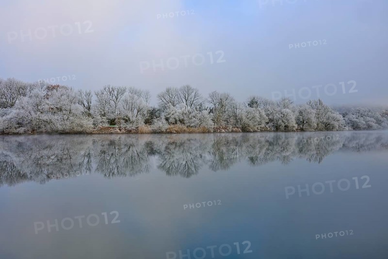 Misty winter landscape with smooth, calm river and snow-covered trees, hoarfrost, winter, Boxtal, Main-Tauber-Kreis, Baden-Württemberg, and Stadtprozelten, Dorfprozelten, Main, Spessart, Bavaria, Germany