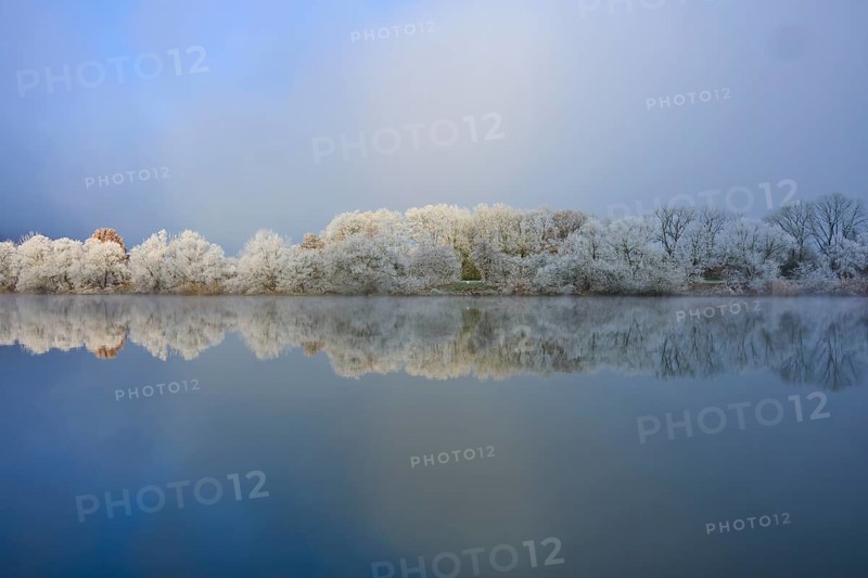 Winter landscape with reflecting trees in a foggy and cloudy river, hoarfrost, winter, Boxtal, Main-Tauber district, Baden-Württemberg, and Stadtprozelten, Dorfprozelten, Main, Spessart, Bavaria, Germany