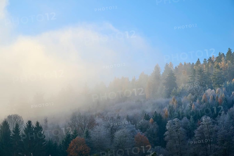Morning fog over a quiet autumnal forest with various trees, hoarfrost, winter, Boxtal, Main-Tauber district, Baden-Württemberg, Germany