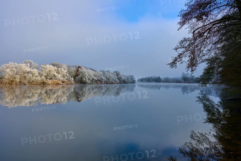 A frost-covered river flanked by fog and snow-covered trees, hoarfrost, winter, Boxtal, Main-Tauber district, Baden-Württemberg, and Stadtprozelten, Dorfprozelten, Main, Spessart, Bavaria, Germany