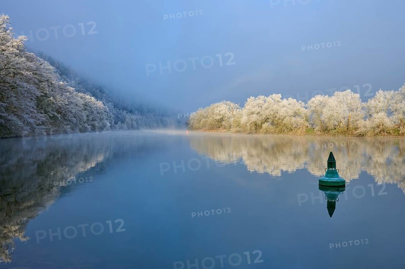 A green buoy on calm water, surrounded by snowy, reflecting trees, hoarfrost, winter, Boxtal, Main-Tauber district, Baden-Württemberg, and Stadtprozelten, Dorfprozelten, Main, Spessart, Bavaria, Germany