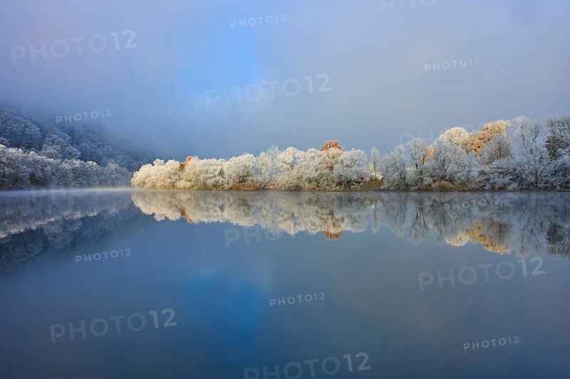 A quiet scene with a mirror-like river and snow-covered trees under a clear, cold sky, hoarfrost, winter, Boxtal, Main-Tauber district, Baden-Württemberg, and Stadtprozelten, Dorfprozelten, Main, Spessart, Bavaria, Germany