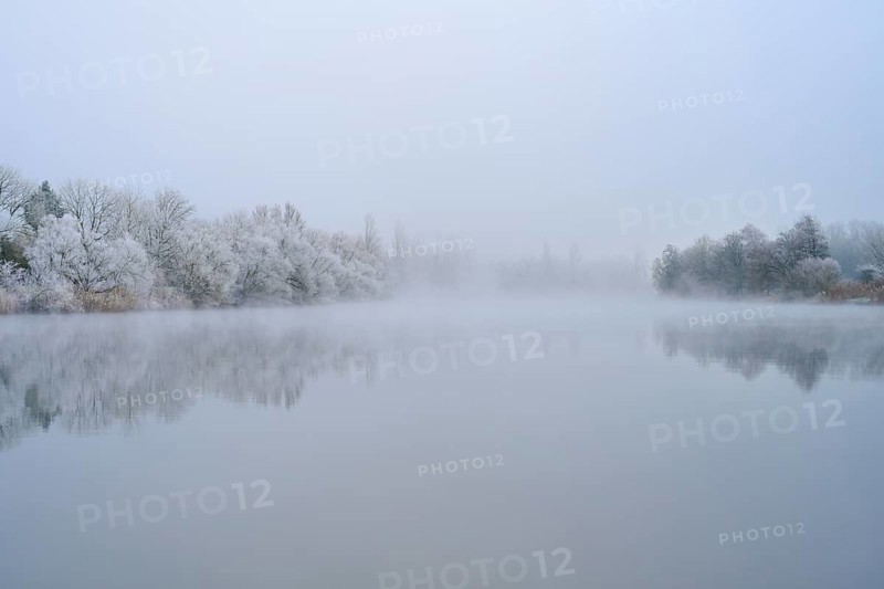 Foggy winter morning on a quiet river with snow-covered trees in a quiet atmosphere, hoarfrost, winter, Boxtal, Main-Tauber district, Baden-Württemberg, and Stadtprozelten, Dorfprozelten, Main, Spessart, Bavaria, Germany