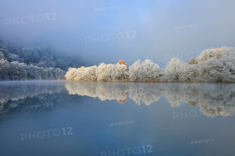Snowy trees on the river with fog and cool winter atmosphere, hoarfrost, winter, Boxtal, Main-Tauber-Kreis, Baden-Württemberg, and Stadtprozelten, Dorfprozelten, Main, Spessart, Bavaria, Germany