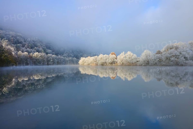 Snowy trees are reflected in the quiet river, surrounded by foggy, overcast sky, hoarfrost, winter, Boxtal, Main-Tauber district, Baden-Württemberg, and Stadtprozelten, Dorfprozelten, Main, Spessart, Bavaria, Germany