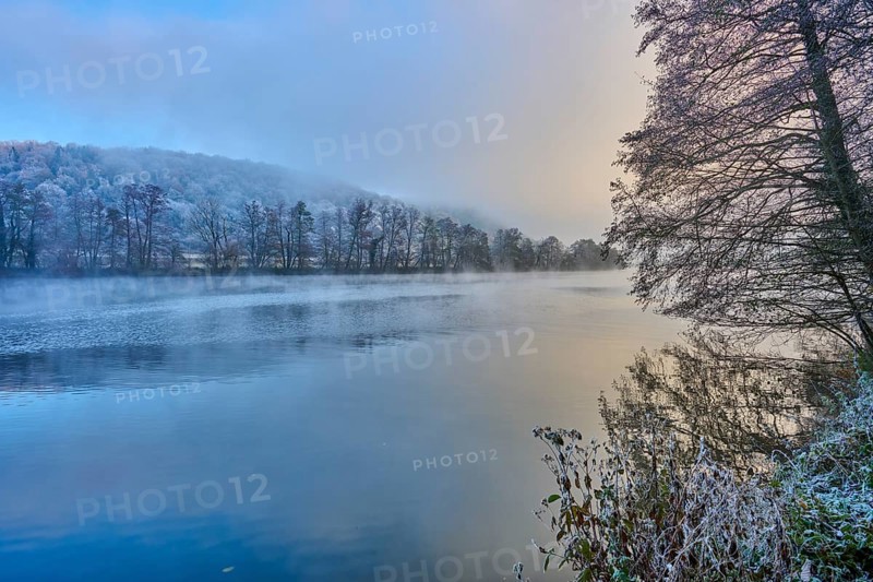 Wintery morning at the water with frosty trees and fog in a peaceful atmosphere, hoarfrost, winter, Collenberg, Main, Maintal, Spessart, Bavaria, Germany