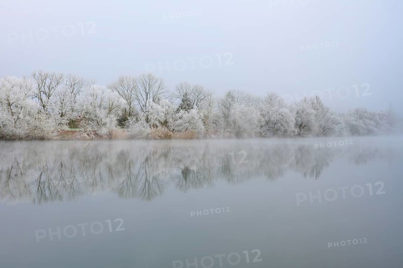 Snowy winter landscape with quietly reflecting trees in the foggy river, hoarfrost, winter, Boxtal, Main-Tauber district, Baden-Württemberg, and Stadtprozelten, Dorfprozelten, Main, Spessart, Bavaria, Germany