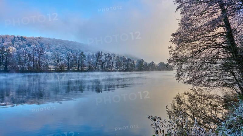 The river in a foggy winter landscape at sunrise with frosty trees and calm water, hoarfrost, winter, Collenberg, Main, Maintal, Spessart, Bavaria, Germany