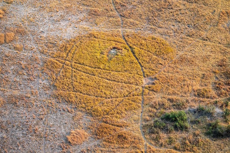 Paths, trails in the countryside, animal trails Aerial view of the Okavango Delta, near Maun, Okavango Delta, Botswana