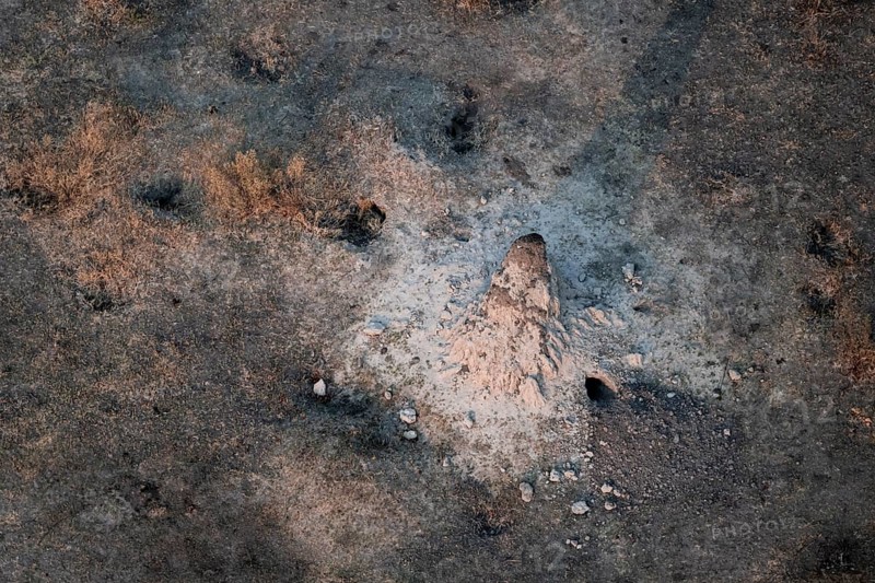 Single termite hill, landscape, aerial view of the Okavango Delta, near Maun, Okavango Delta, Botswana