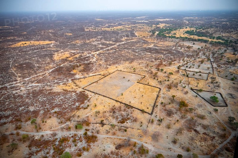 Settlement, simple house and fence, dry savanna landscape, near Maun, aerial view, Okavango Delta, Botswana