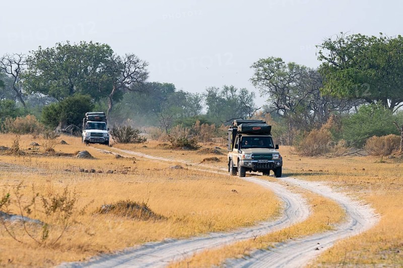 Off-road car, safari car driving on dust road, Third Bridge, Okavango Delta, Moremi Game Reserve, Botswana