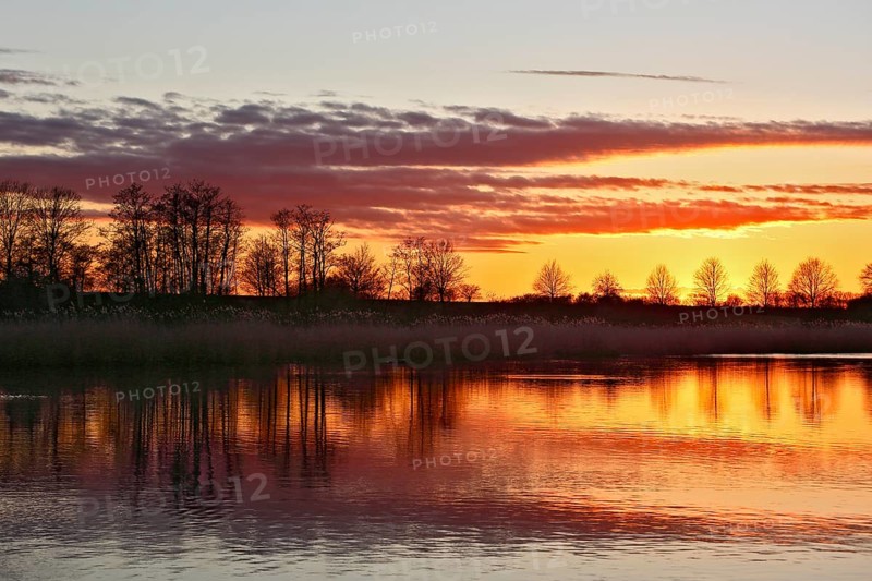 Peaceful sunset with orange sky and reflection of trees in water, Peenetal nature park Park, Mecklenburg-Western Pomerania, Germany