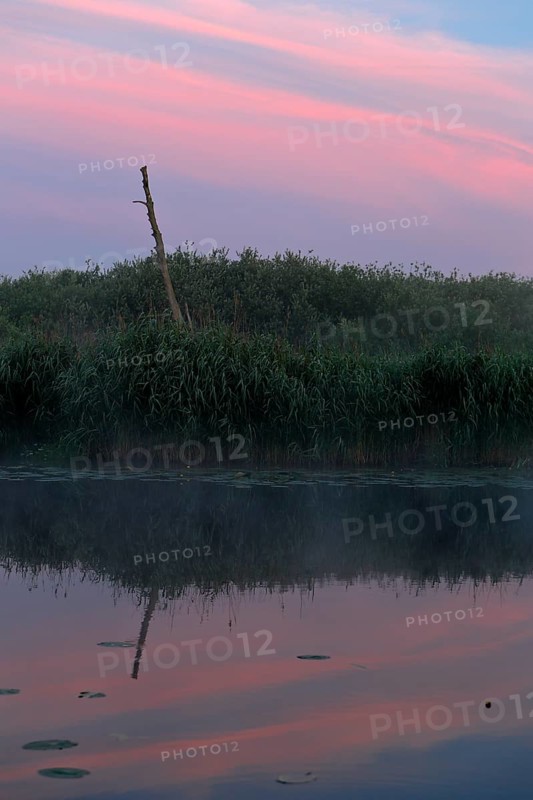 Pink and blue sky reflected peacefully in the water, Peenetal nature park Park, Mecklenburg-Western Pomerania, Germany