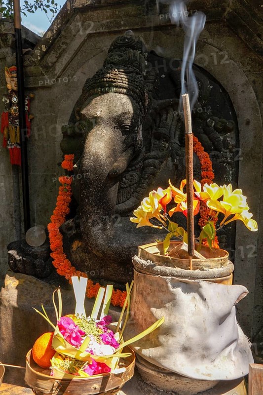 Flowers arranged for beautiful offerings in front of a Ganesha figure, Bali, Indonesia