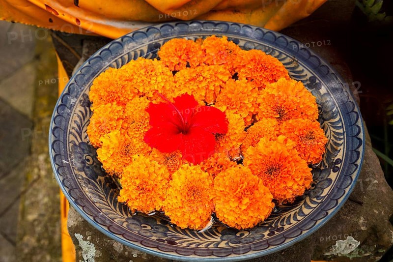 Flowers arranged for beautiful offerings, Bali, Indonesia