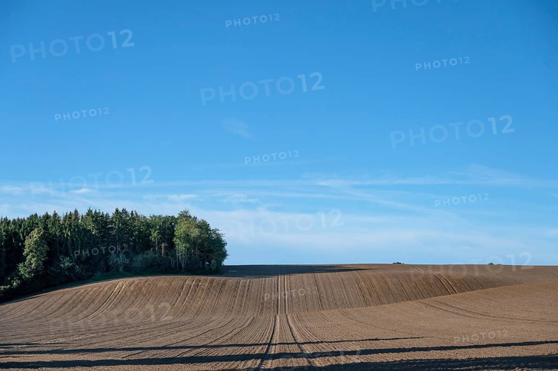 Ordered, large arable area, Mecklenburg-Western Pomerania, Germany