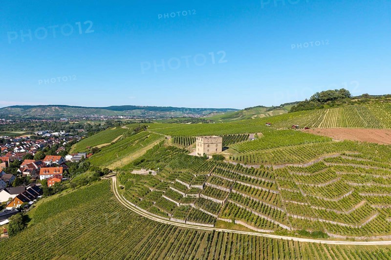 Vineyards with a stone house, on the edge of a village, in a summer landscape, Y-Burg, Stetten im Remstal, Baden-Württemberg, Germany