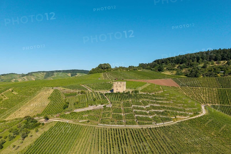 Old building surrounded by vineyards with wooded hills in the background, Y-Burg, Stetten im Remstal, Baden-Württemberg, Germany