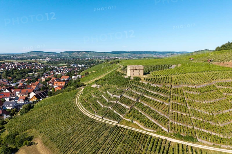 Vineyard landscape with a stone house, bordering a village and hills, Y-Burg, Stetten im Remstal, Baden-Württemberg, Germany