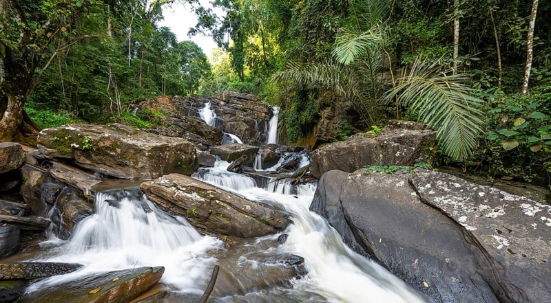 Derema Waterfall flows through thick vegetation, tropical rainforest in Amani Nature Forest Reserve, long exposure, Eastern Usambara Mountains, Tanga, Tanzania