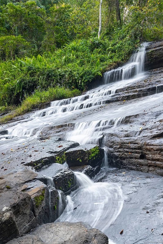 Derema Waterfall flows through thick vegetation, tropical rainforest in Amani Nature Forest Reserve, long exposure, Eastern Usambara Mountains, Tanga, Tanzania
