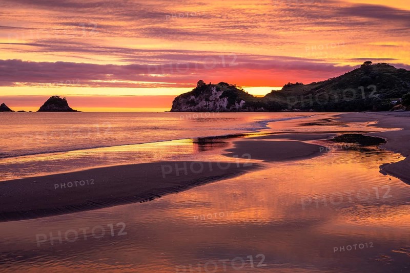 Landscape with sea and sandy beach in New Zealand. Hahei Beach with Te Pare Point in the morning at sunrise. On the left, the rock of Te Karaka Island. Colored clouds. Hahei, Coromandel Peninsula, Waikato, New Zealand