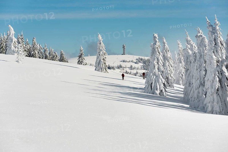 Snow-covered fir trees and snowshoe hikers, Stübenwasen, Feldberg, Todtnauberg, Black Forest, Baden-Württemberg, Germany