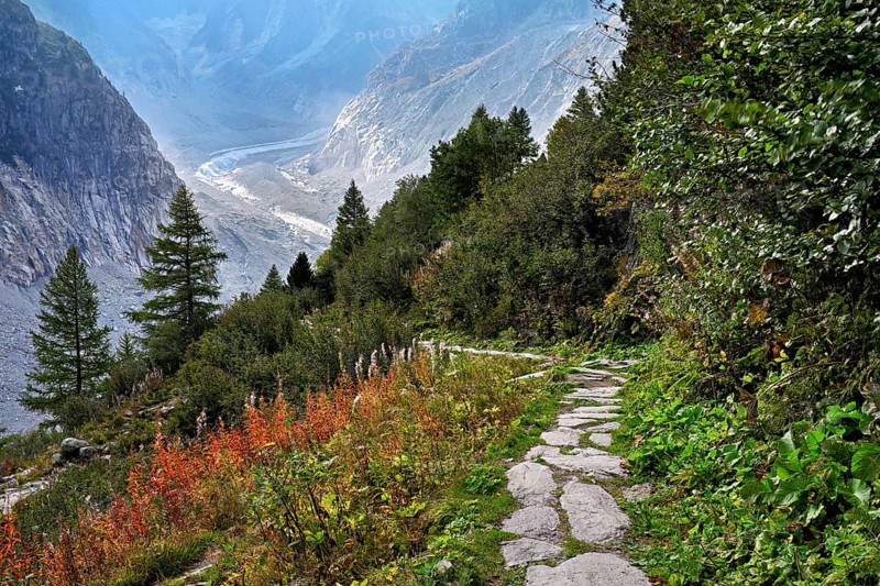 Hiking trail in autumn-colored surroundings with the Mer de Glace glacier, Mont-Blanc, Chamonix-Mont-Blanc, Haute-Savoie, France