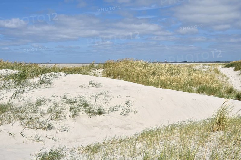 Dune landscape near Sankt Peter-Ording, Westerhever lighthouse, North Sea, Schleswig-Holstein, Germany