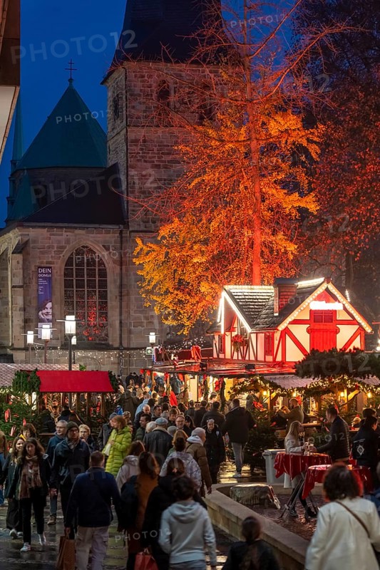 Christmas market in Essen, gastronomy, fire forest, at Essen Cathedral, Kettwiger Straße shopping street, pedestrian zone, full, lots of people shopping, Christmas lights, Christmas market stalls, Essen Light Weeks, Essen, North Rhine-Westphalia, Germany