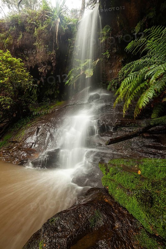 Rainy day reveals lush nature at hidden waterfall in the Blue Mountains, New South Wales, Australia