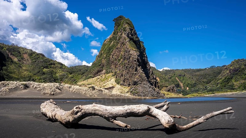 Landscape in New Zealand with sandy beach. Karekare Beach and The Watchman Rock. Karekare, Waitakere Ranges, West Auckland, New Zealand