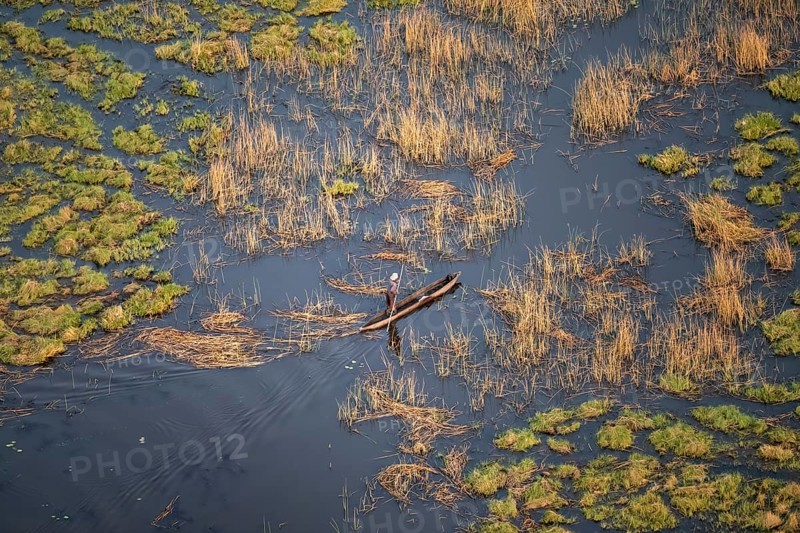 Marshland, marshland, Kavango fishermen with dugout boat, Mokoro, aerial view, Okavango Delta, Botswana