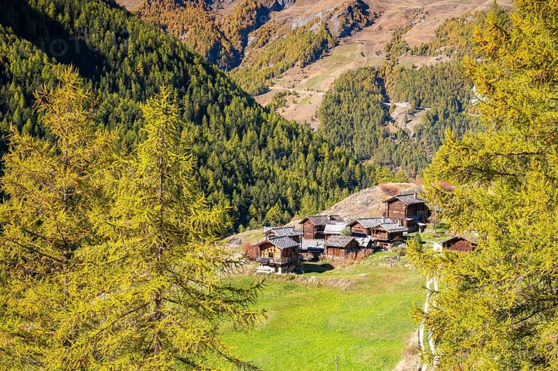 Traditional wooden huts on Alpe near Evolene, Val d'Herens, Canton of Valais, Switzerland