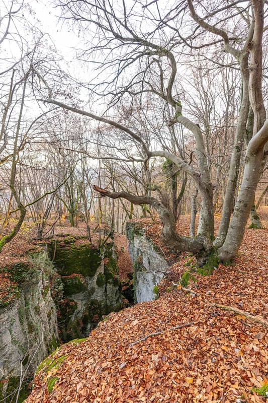 Low sun illuminates the rocks and caves of hell holes in the autumnal landscape of Dettingen an der Erms Baden-Württemberg Germany