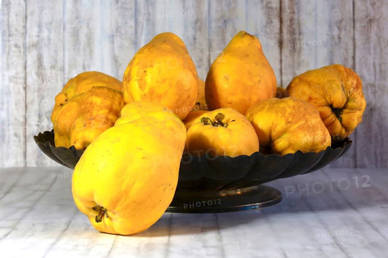 Picturesque still life with quinces, autumn, Germany