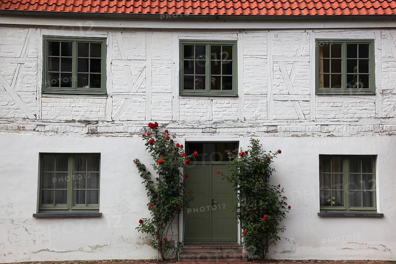 House façade in Wismar on the Baltic Sea in the old town, climbing roses in front of the front door, lattice windows, Mecklenburg-Western Pomerania, Germany
